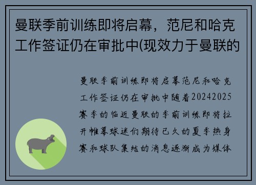 曼联季前训练即将启幕,范尼和哈克工作签证仍在审批中(现效力于曼联的范尼是哪国人) 曼联季前训练即将启幕,范尼和哈克工作签证仍在审批中(现效力于曼联的范尼是哪国人)
