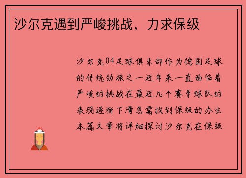 沙尔克遇到严峻挑战,力求保级 沙尔克遇到严峻挑战,力求保级