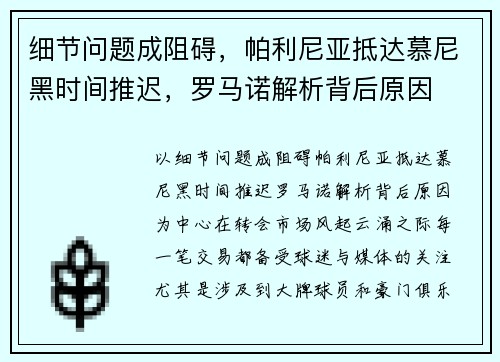 细节问题成阻碍，帕利尼亚抵达慕尼黑时间推迟，罗马诺解析背后原因